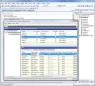 DevForce Silverlight screenshot